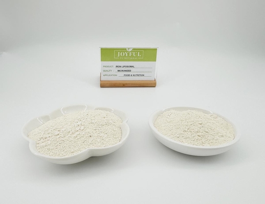 Beli Micronized Liposomal Ferric Iron Pyrophosphate Dalam Makanan Bubuk Putih pembuatan online