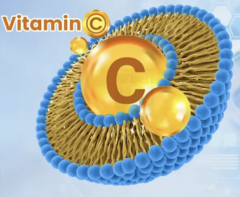 Vitamin C Liposomal Dengan Bioavailabilitas yang Ditingkatkan Untuk Air Minum Padat